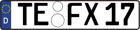 TE-FX17