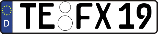 TE-FX19