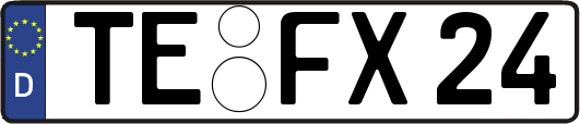 TE-FX24