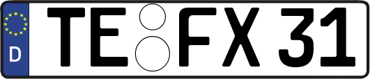 TE-FX31