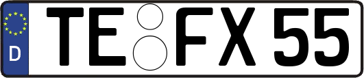 TE-FX55