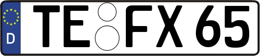 TE-FX65