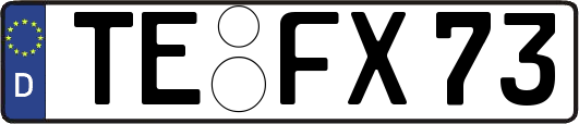 TE-FX73