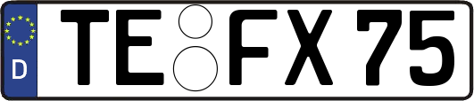 TE-FX75