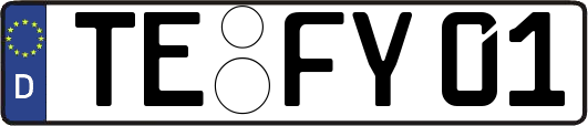 TE-FY01