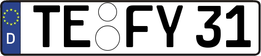 TE-FY31
