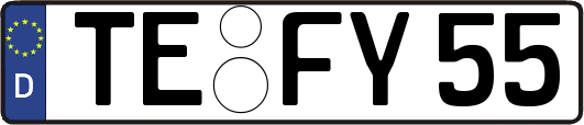 TE-FY55