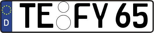 TE-FY65