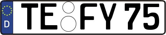 TE-FY75