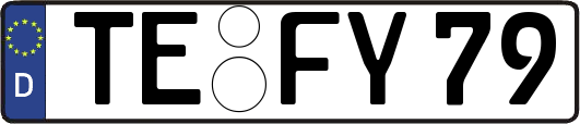 TE-FY79