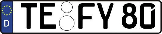 TE-FY80