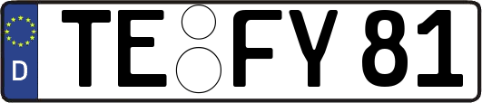 TE-FY81
