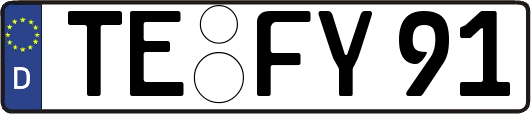 TE-FY91