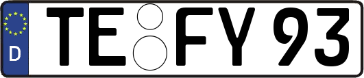 TE-FY93