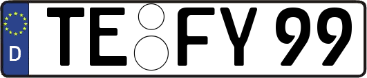 TE-FY99