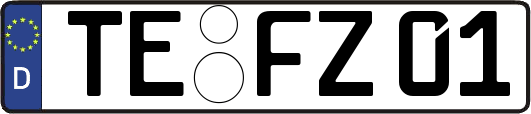 TE-FZ01