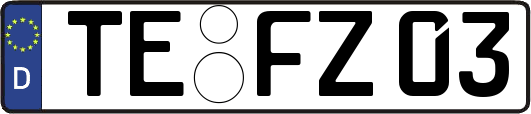TE-FZ03