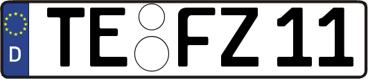 TE-FZ11
