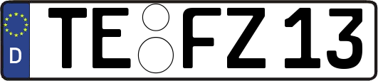 TE-FZ13