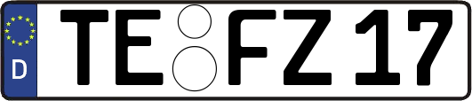 TE-FZ17