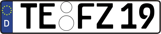 TE-FZ19