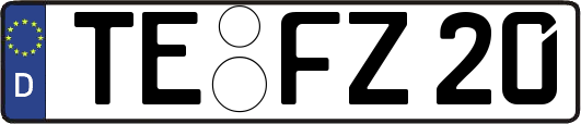 TE-FZ20
