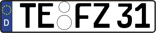 TE-FZ31
