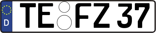 TE-FZ37