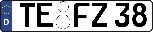 TE-FZ38