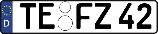 TE-FZ42