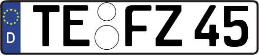 TE-FZ45
