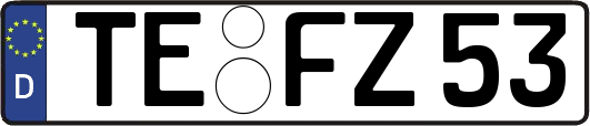 TE-FZ53
