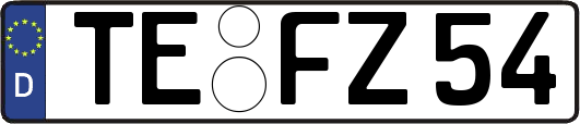TE-FZ54