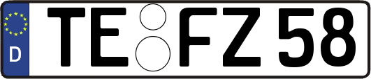 TE-FZ58
