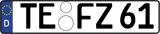 TE-FZ61