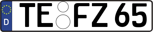 TE-FZ65
