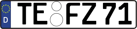TE-FZ71