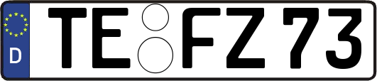 TE-FZ73