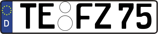 TE-FZ75