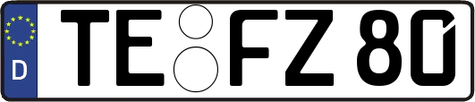 TE-FZ80