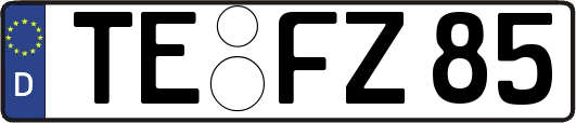 TE-FZ85
