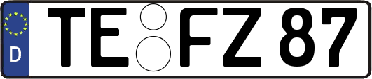 TE-FZ87