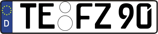 TE-FZ90