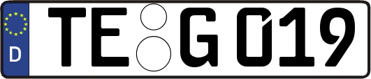TE-G019