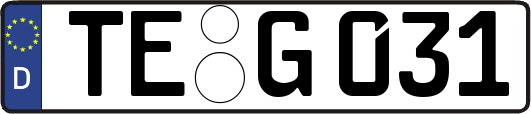 TE-G031