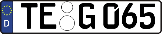 TE-G065