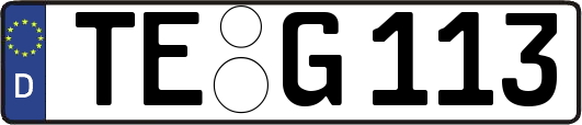 TE-G113