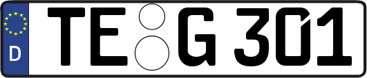TE-G301