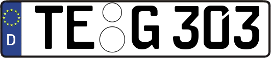 TE-G303