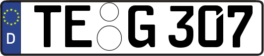 TE-G307